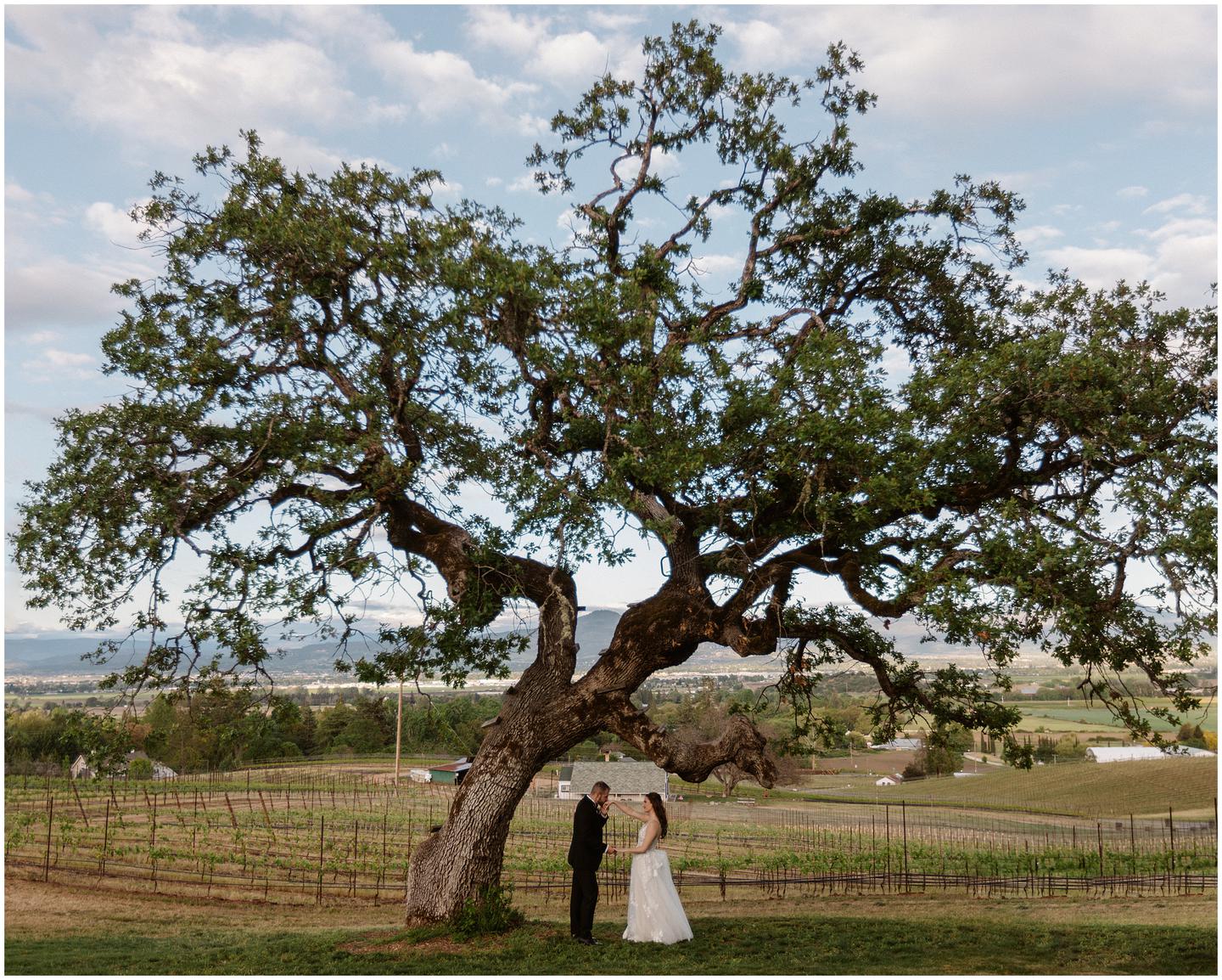 hummingbird-estate-wedding-1460
