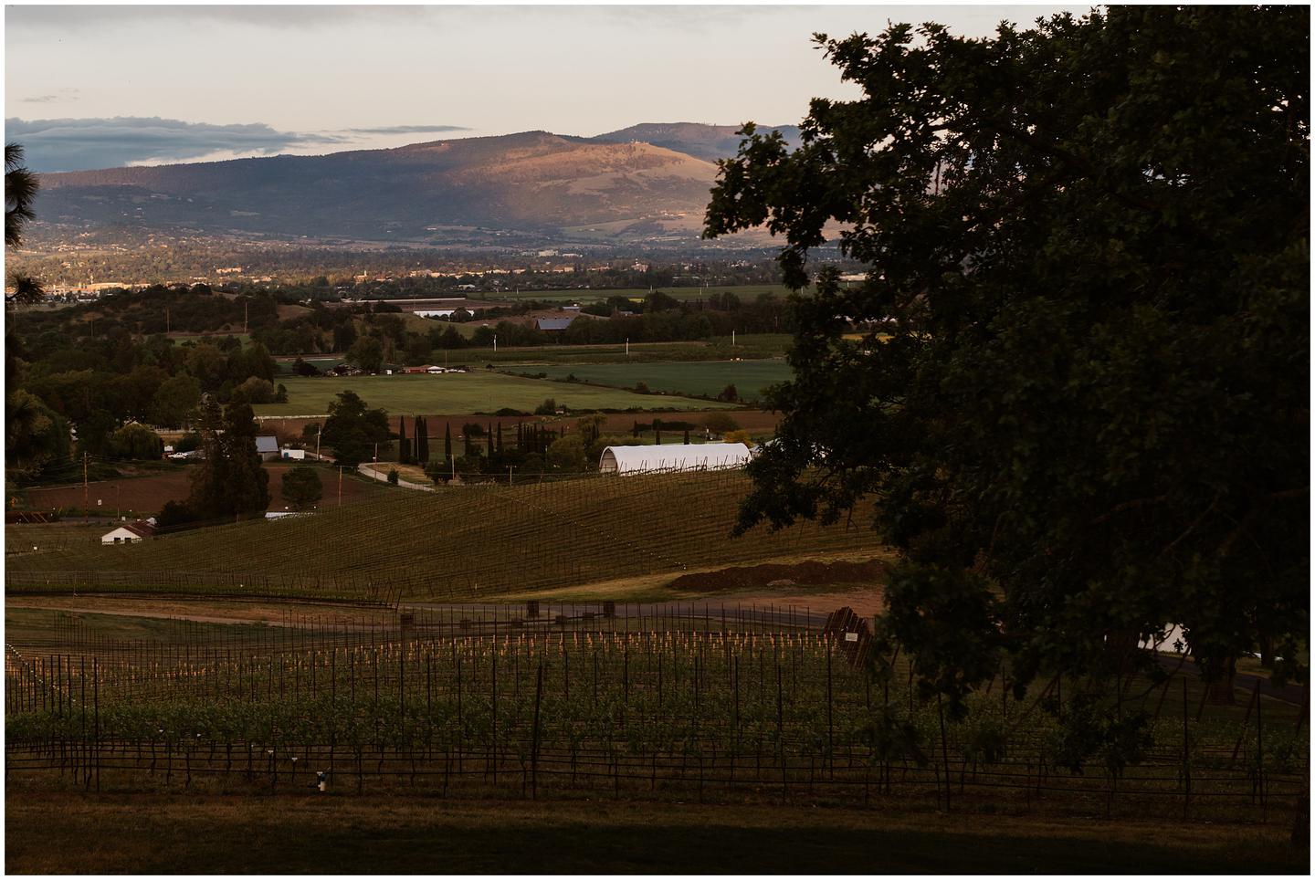 hummingbird-estate-wedding-1562