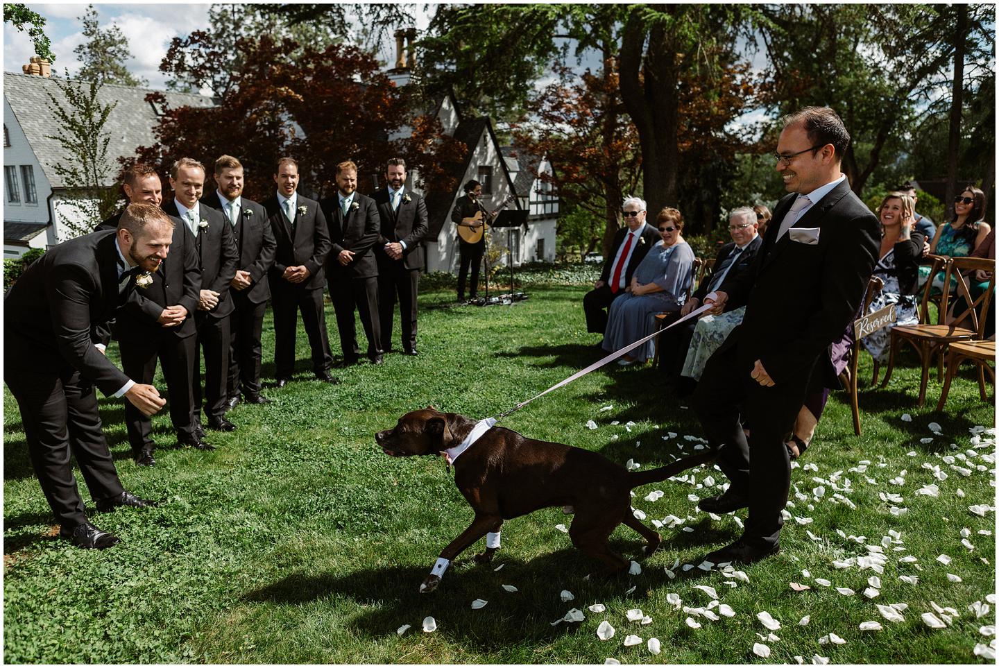 hummingbird-estate-wedding-553