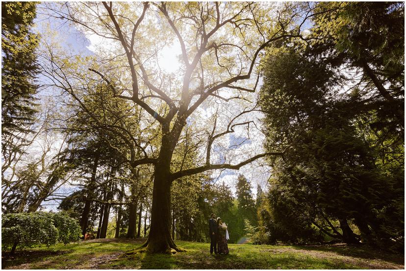 laurelhurst-park-wedding-spring_5819