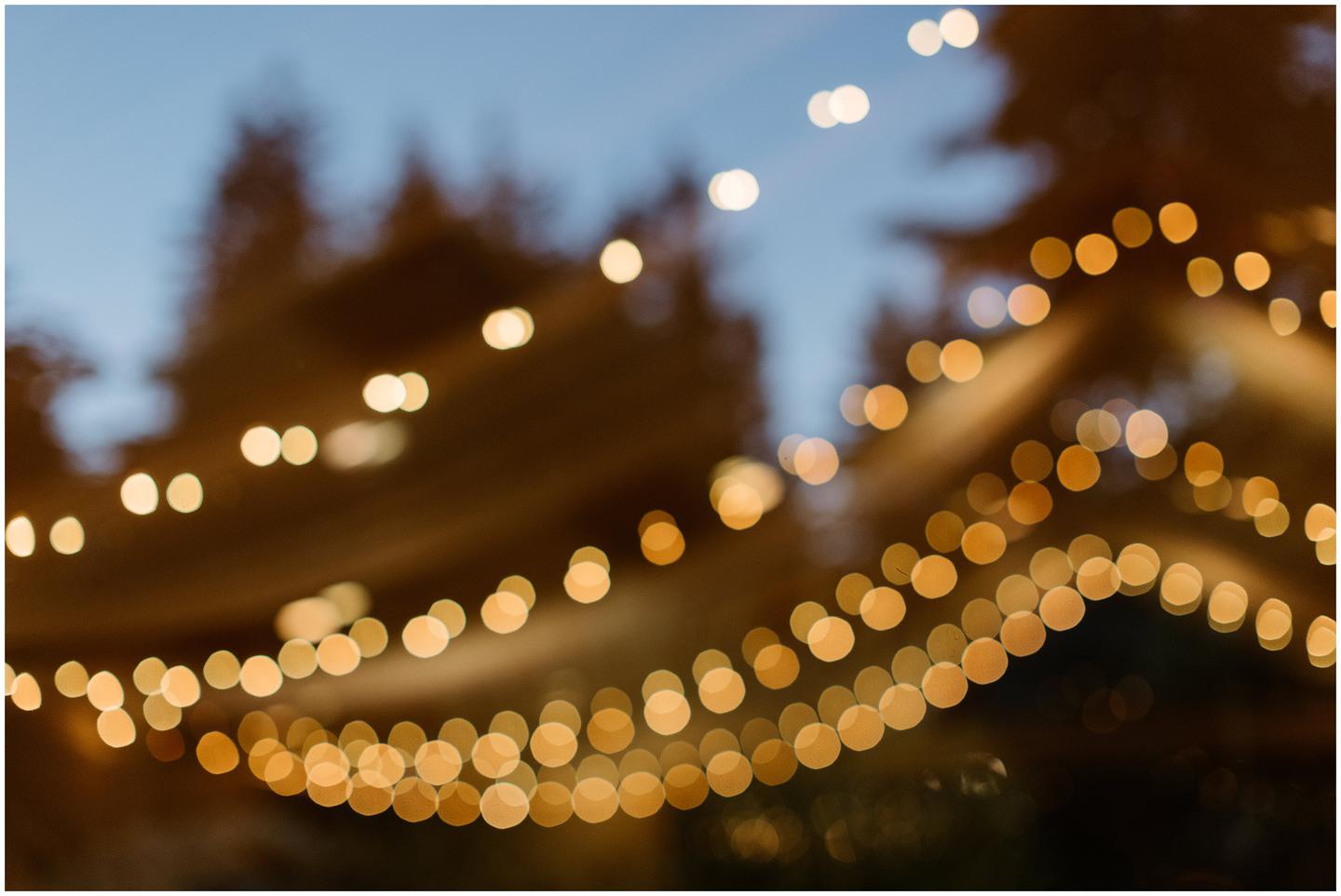 mapleleaf-events-wedding-ss-4490