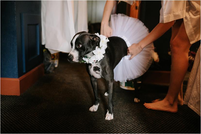 mcmenamins-grand-lodge-wedding-0103