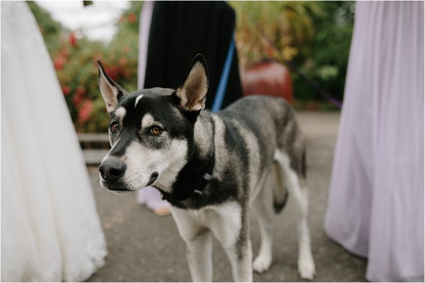 mcmenamins-grand-lodge-wedding-0688