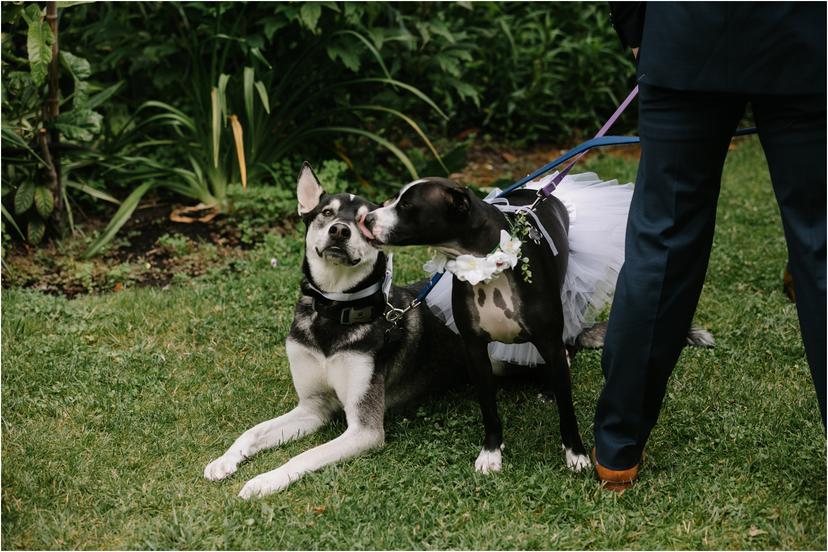 mcmenamins-grand-lodge-wedding-1295