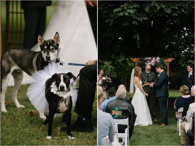 mcmenamins-grand-lodge-wedding-1701