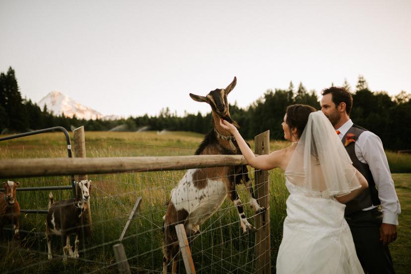 Mt Hood Bed and Breakfast Wedding