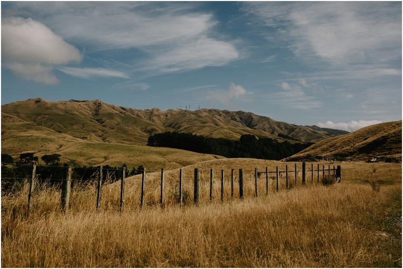 ohariu-farm-wedding-photographer-1121