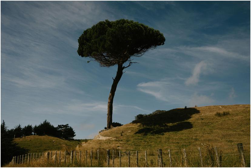 ohariu-farm-wedding-photographer-1128