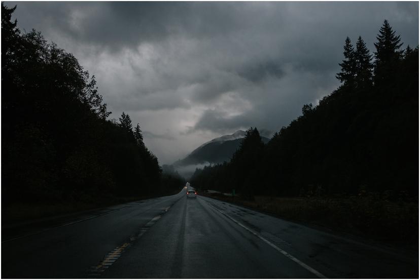 Olympic-Peninsula-Elopement-0463