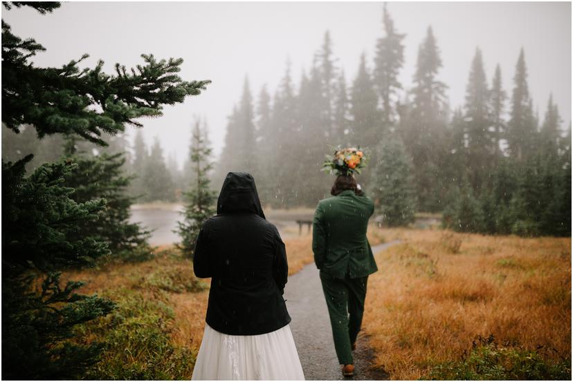 Olympic-Peninsula-Elopement-0578