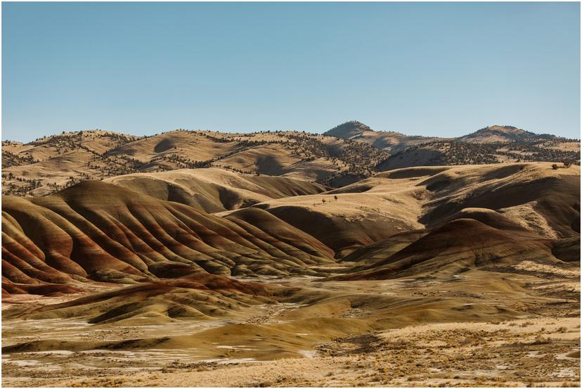 painted-hills-prineville-elopement-0801