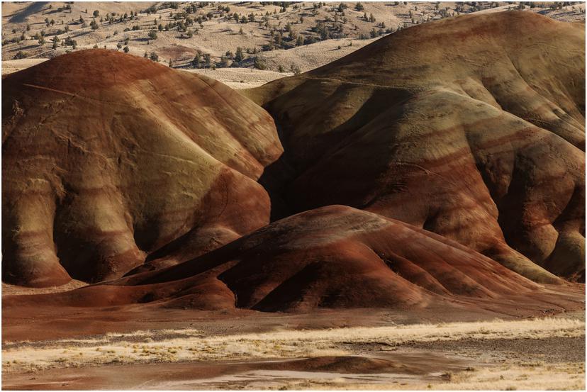 painted-hills-prineville-elopement-0803