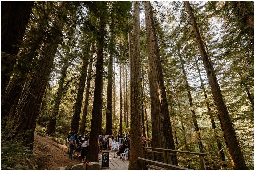 Redwood Deck Wedding