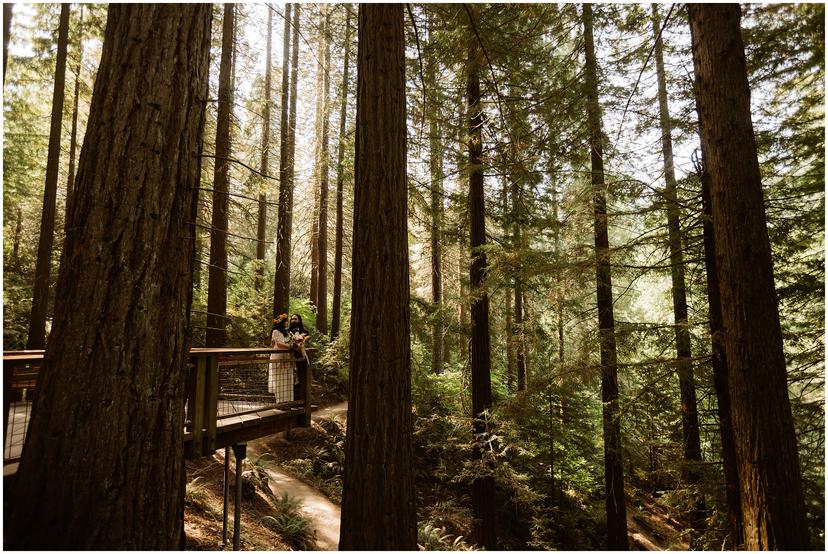 redwood-deck-wedding-hoyt-arboretum_0164