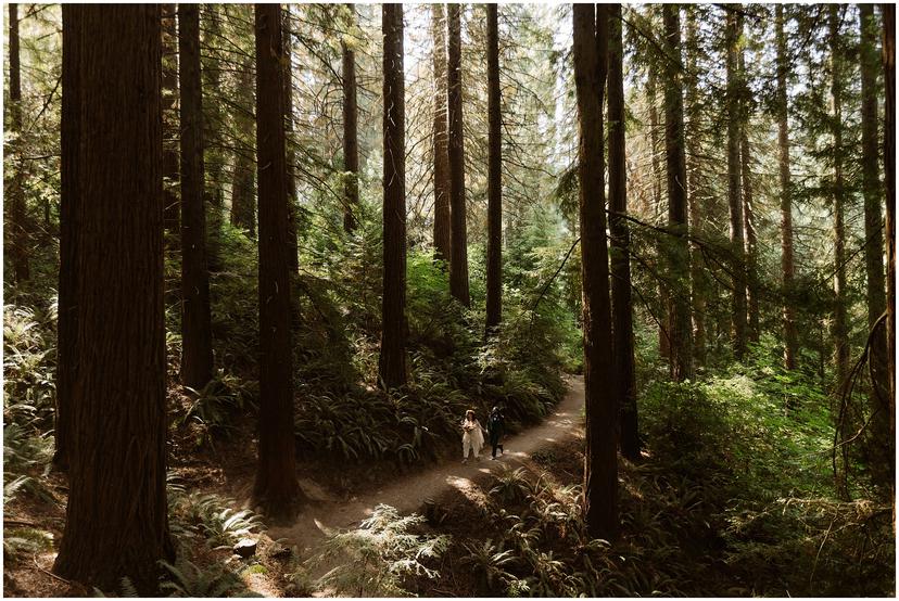 redwood-deck-wedding-hoyt-arboretum_0166