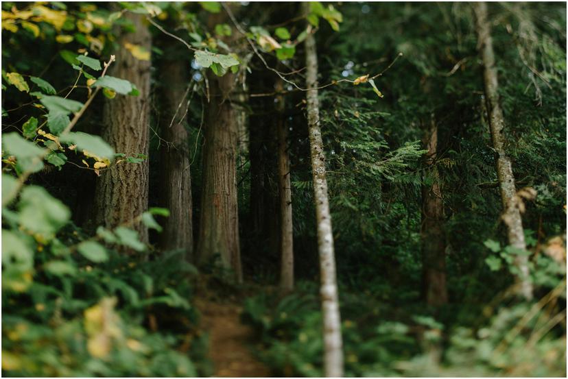 skamania-stone-house-elopement_0166