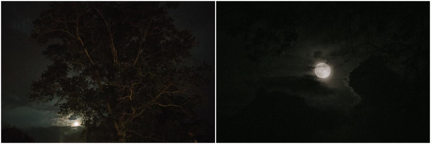 locust-hall-wedding-4842