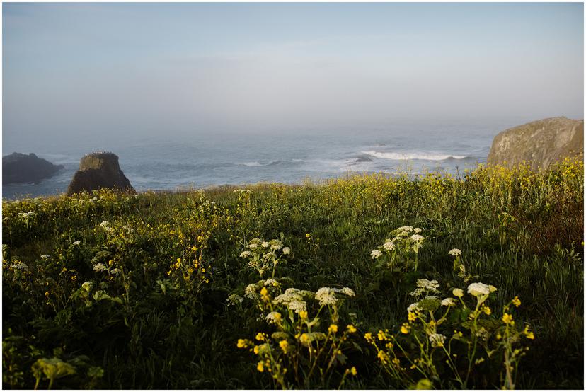 yaquina-head-engagement-photos-2194