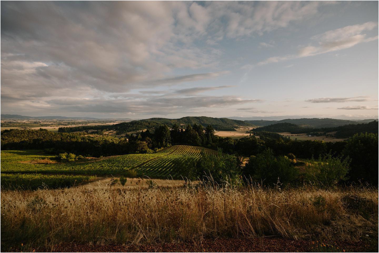 youngberg-hill-wedding-5008