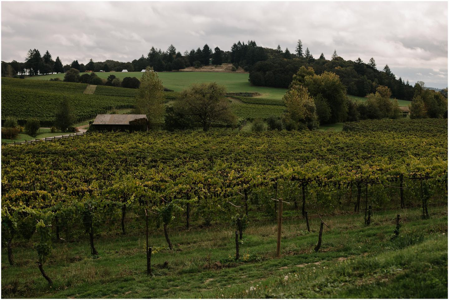 zenith-vineyard-wedding-0103